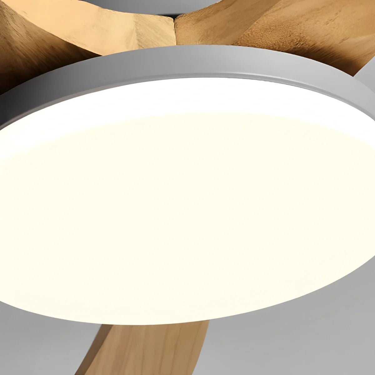 Eloer High Wind Solid Wood Ceiling Fan Light