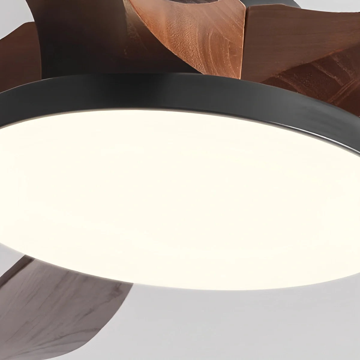 Eloer 5-leaf Solid Wood Ceiling Fan Light
