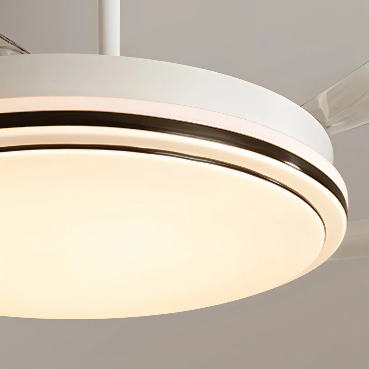 Eloer Modern Remote Control Ceiling Fan with LED Light