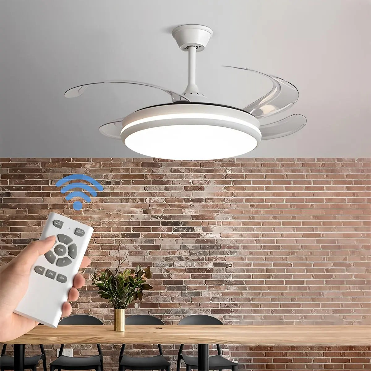 Eloer Modern Remote Ceiling Fan Light with Clear Blades