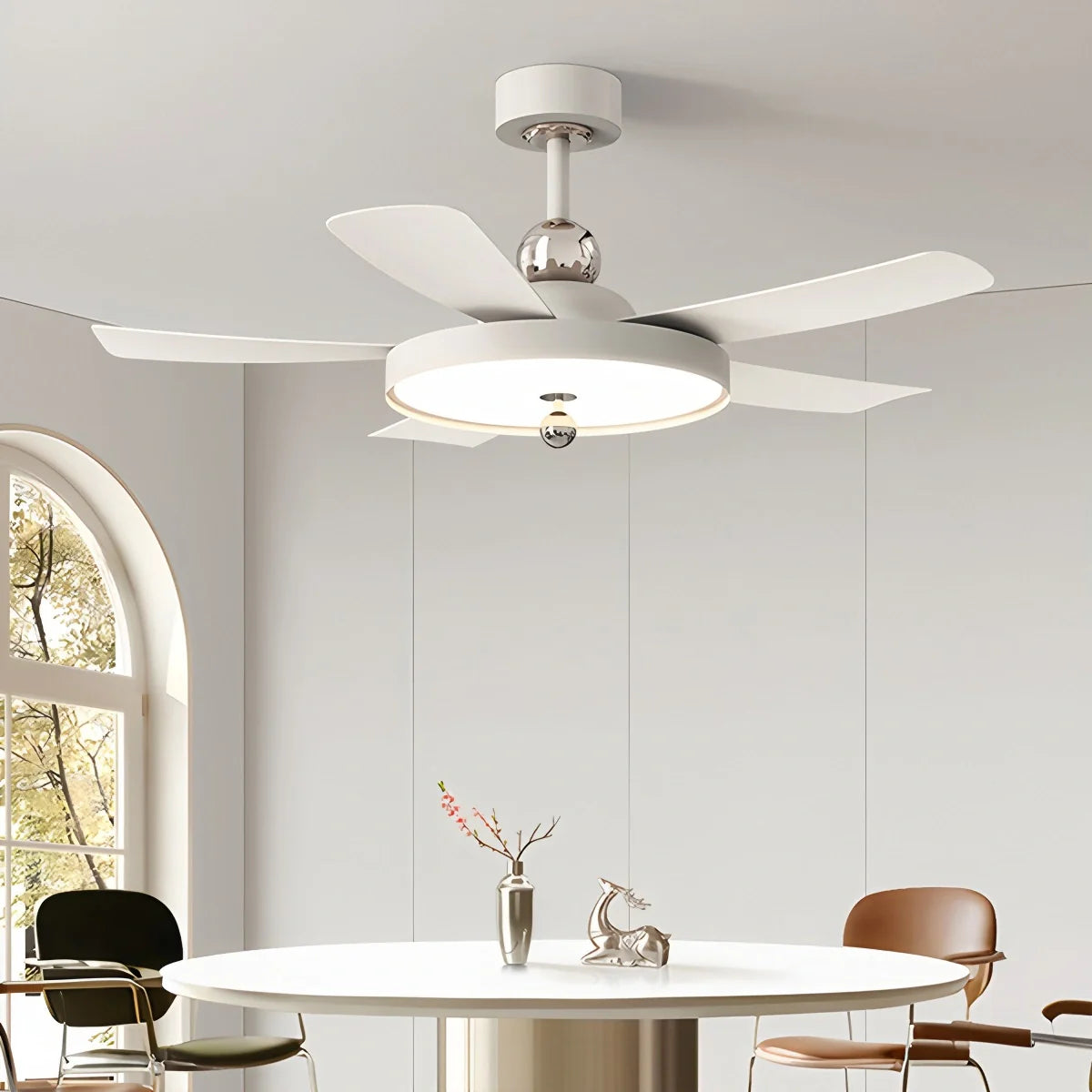 Eloer Silent Ceiling Fan with Light & Remote Control