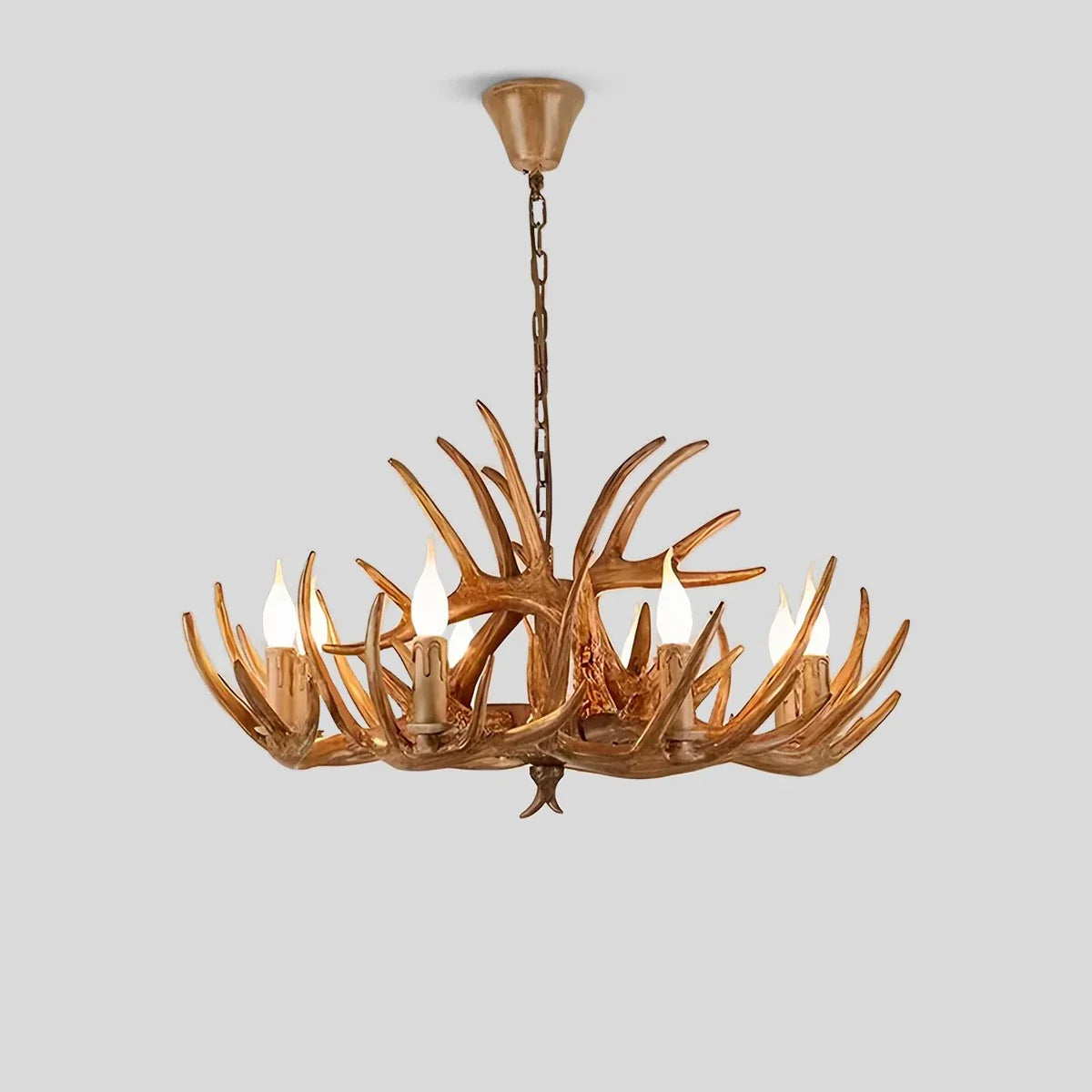 Eloer Antler Shape Resin Chandelier for Living Room