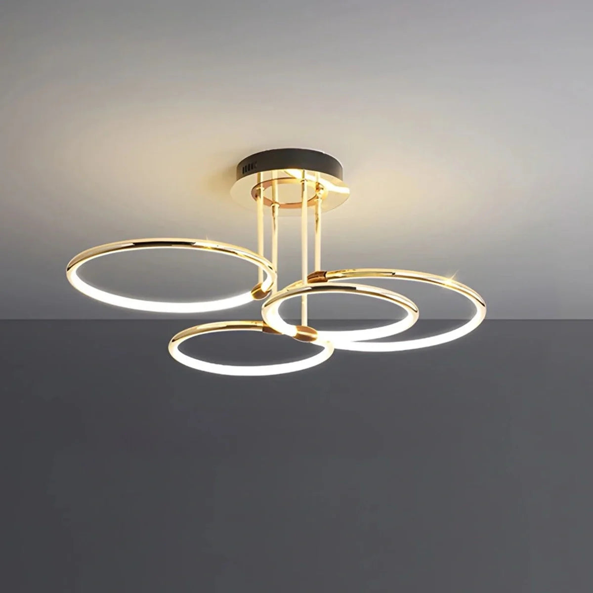 Eloer Metal Circular Chandelier Ceiling Lamp
