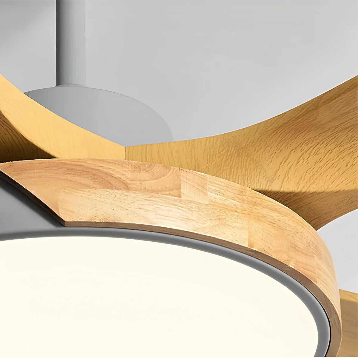 Eloer Nordic Living Room Ceiling Fan with Light