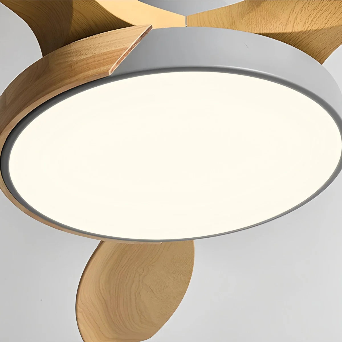 Eloer Nordic Living Room Ceiling Fan with Light
