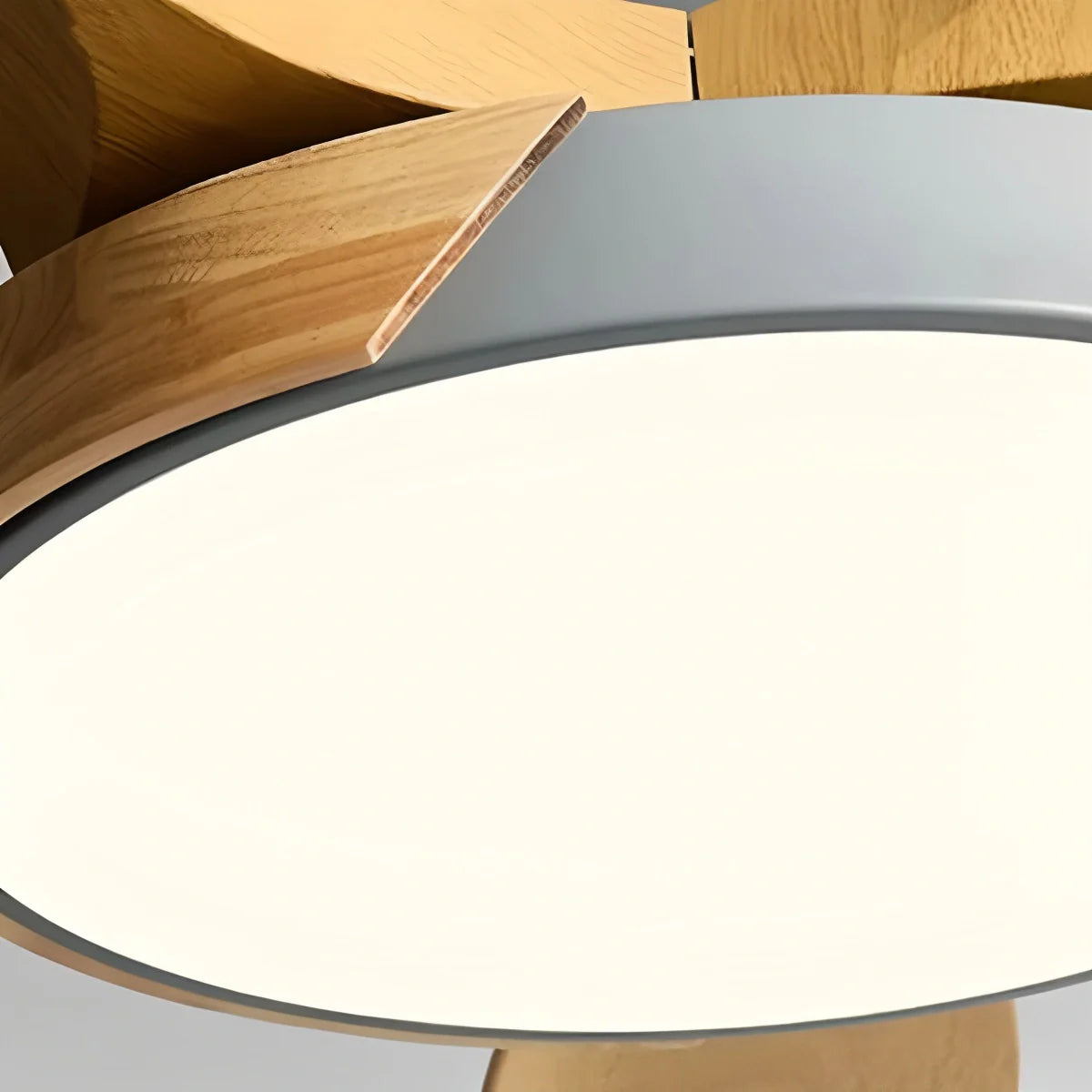 Eloer Nordic 5-Blade LED Ceiling Fan Light