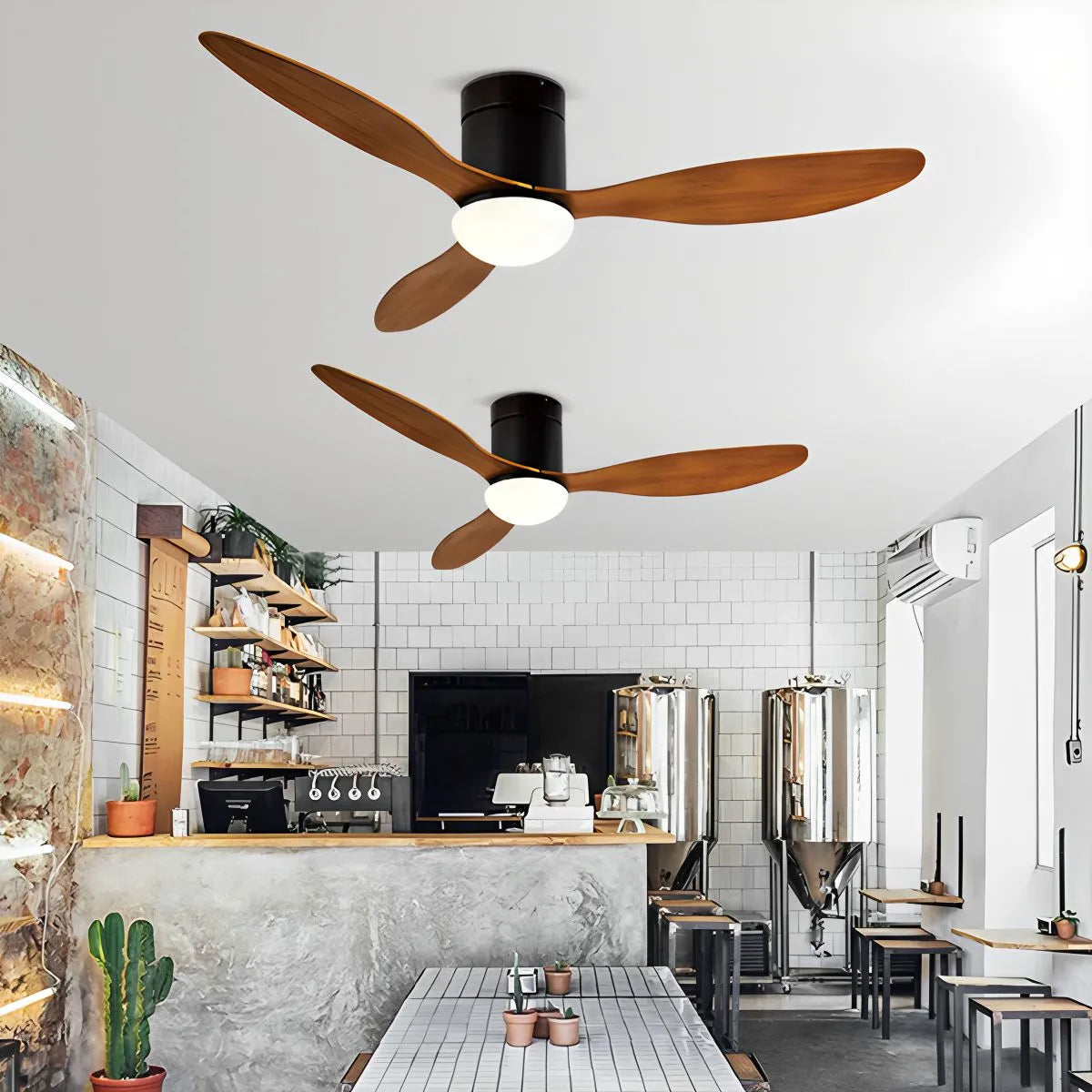 Eloer 3 Blade Modern Ceiling Fan with Light