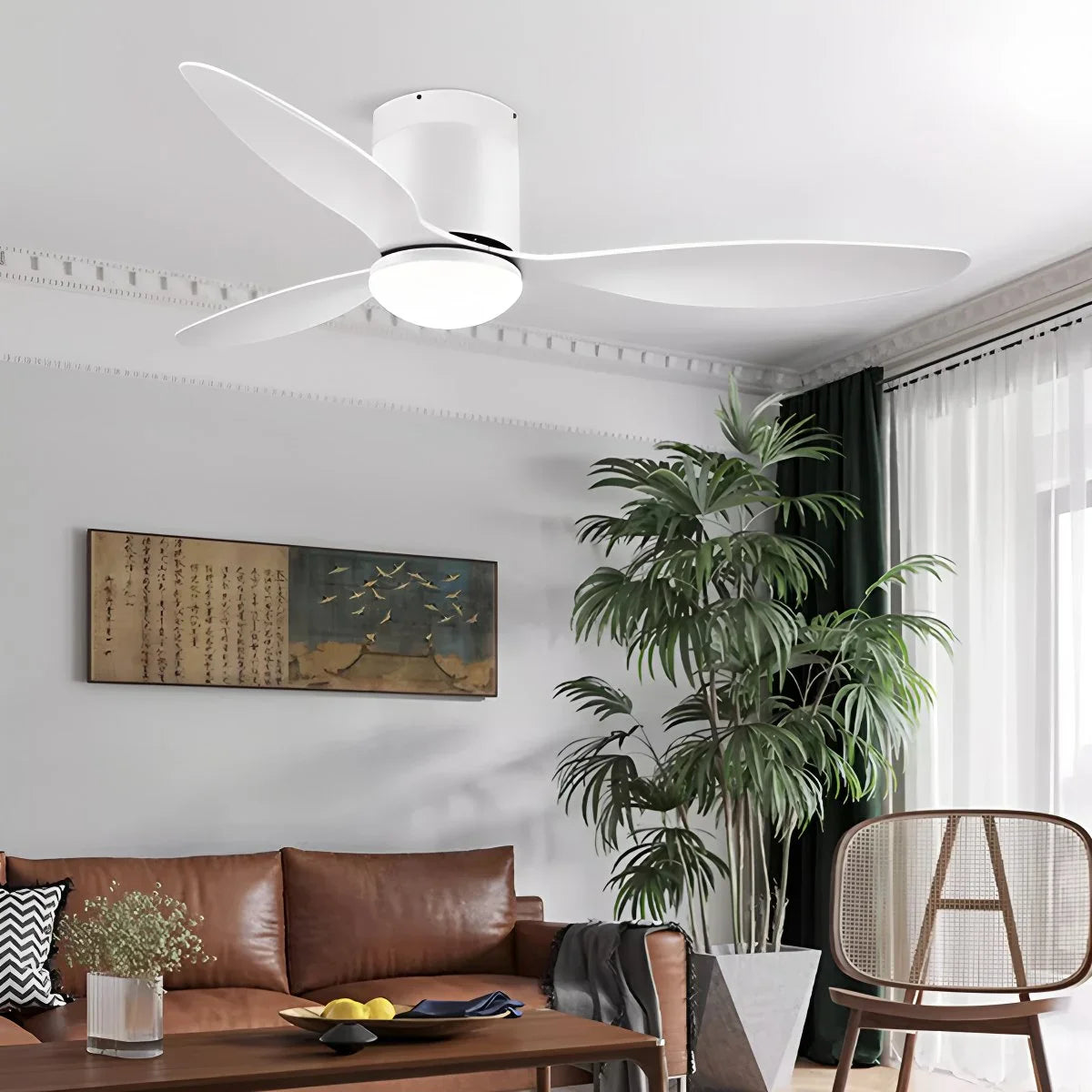 Eloer 3 Blade Modern Ceiling Fan with Light