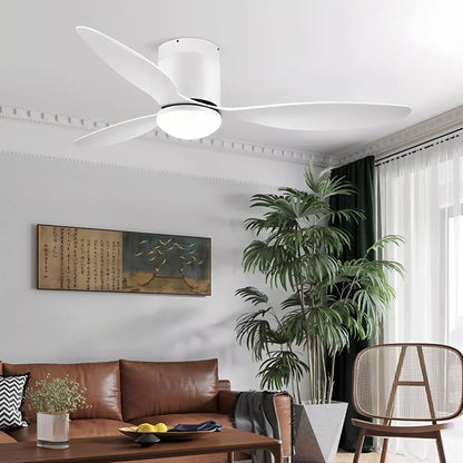 Eloer 3 Blade Modern Ceiling Fan with Light