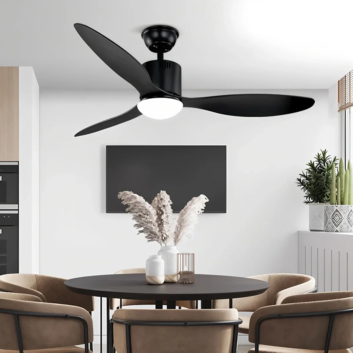 Eloer 3 Blade Modern Ceiling Fan with Light