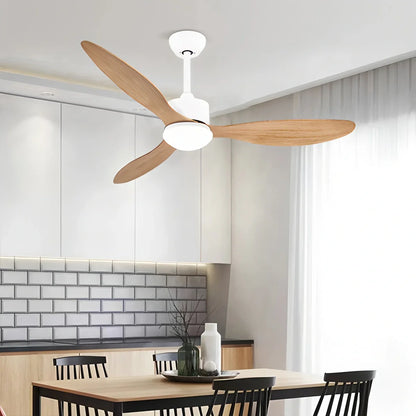 Eloer 3 Blade Modern Ceiling Fan with Light