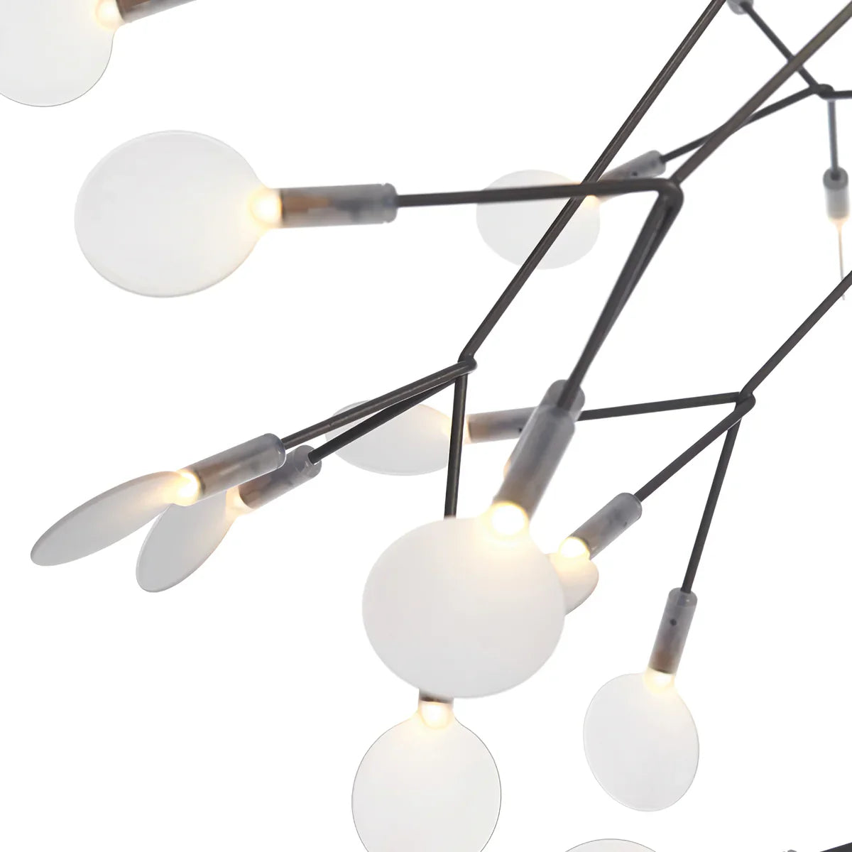 Eloer Black Firefly LED Chandelier for Dining Room