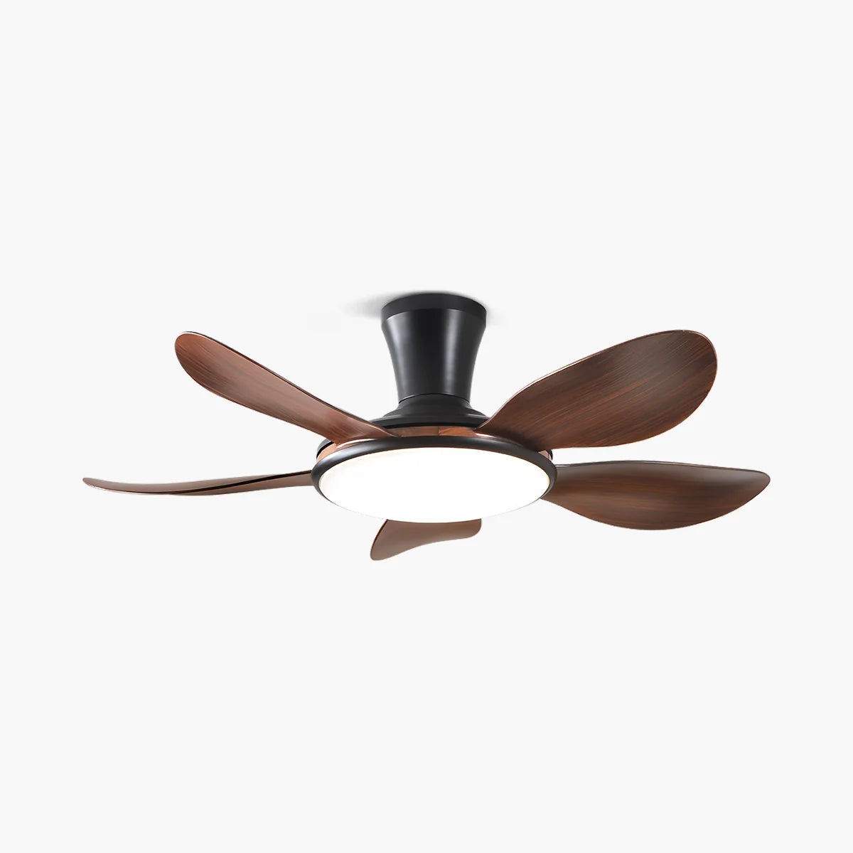 Eloer Silent Remote Control LED Ceiling Fan Light