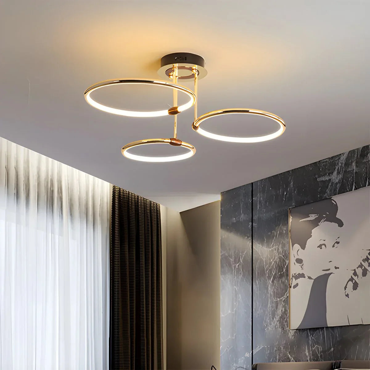 Eloer Metal Circular Chandelier Ceiling Lamp