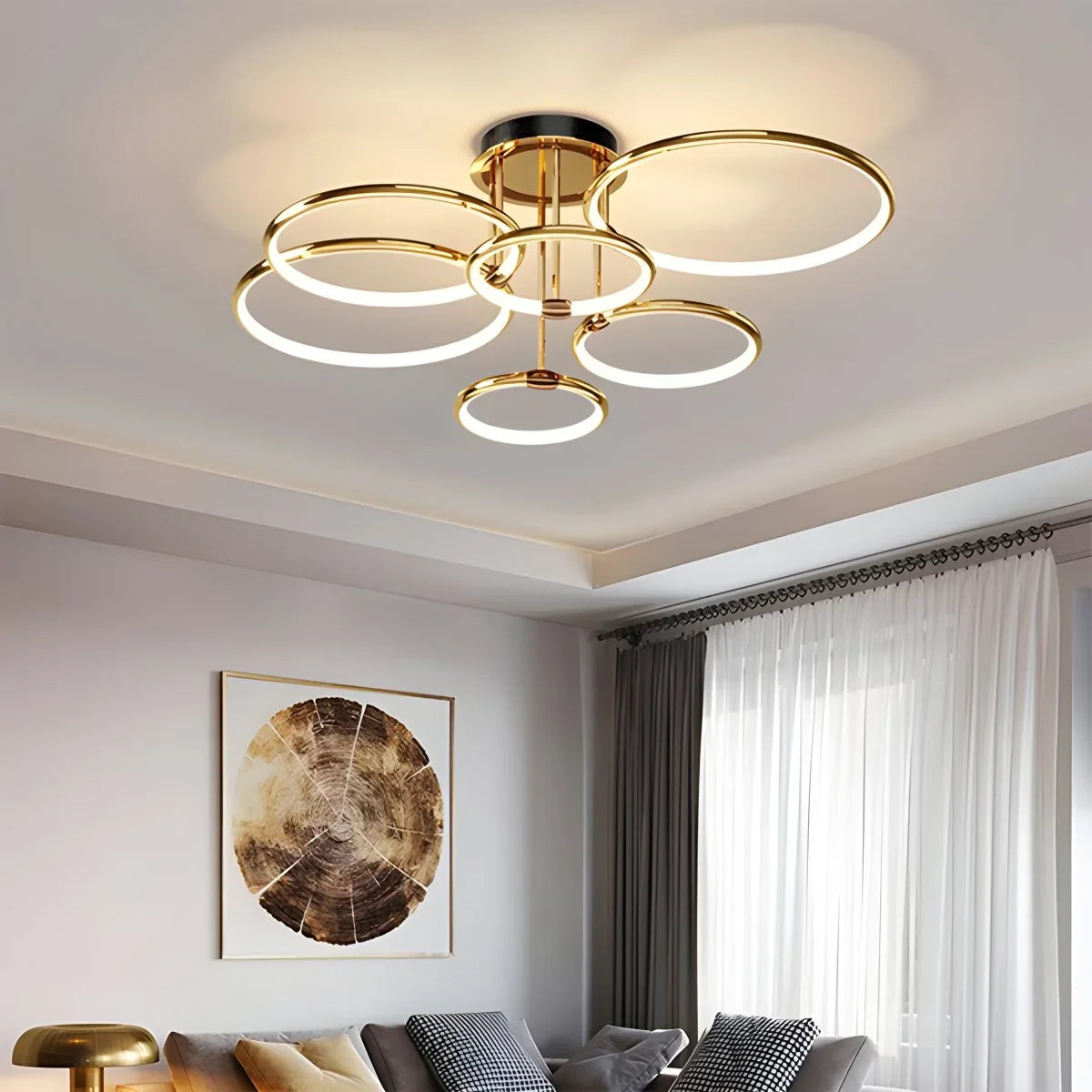Eloer Metal Circular Chandelier Ceiling Lamp