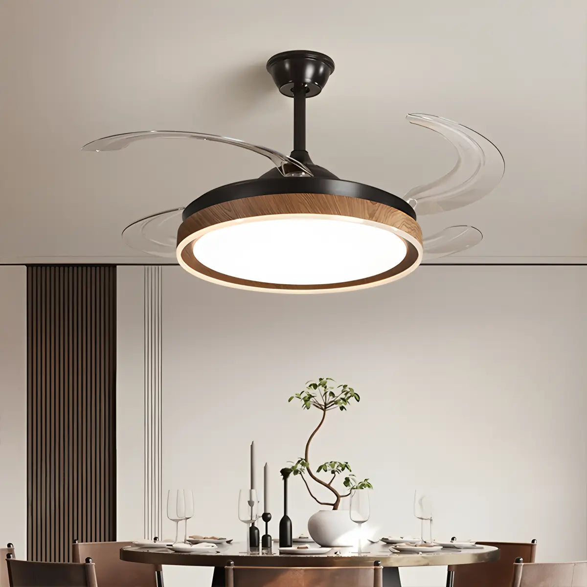 Eloer Retractable Blade Ceiling Fan with Light