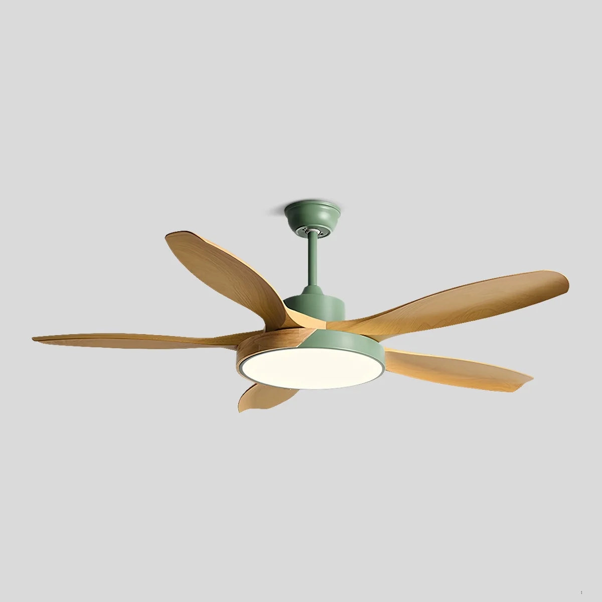 Eloer Nordic Living Room Ceiling Fan with Light