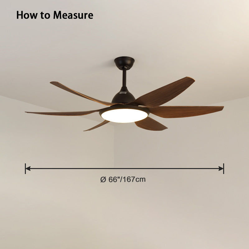 Eloer Reversible Large Ceiling Fan Light for Living Room