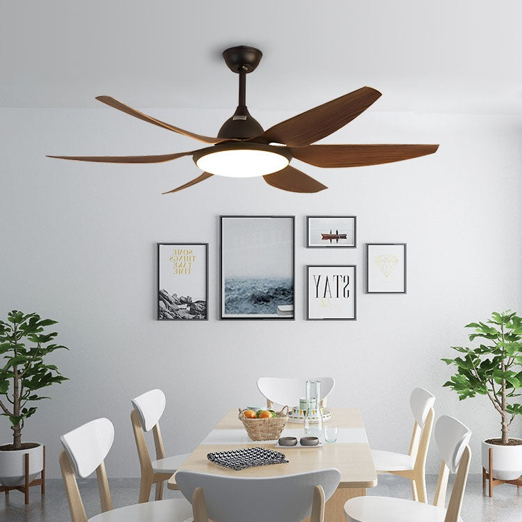 Eloer Reversible Large Ceiling Fan Light for Living Room