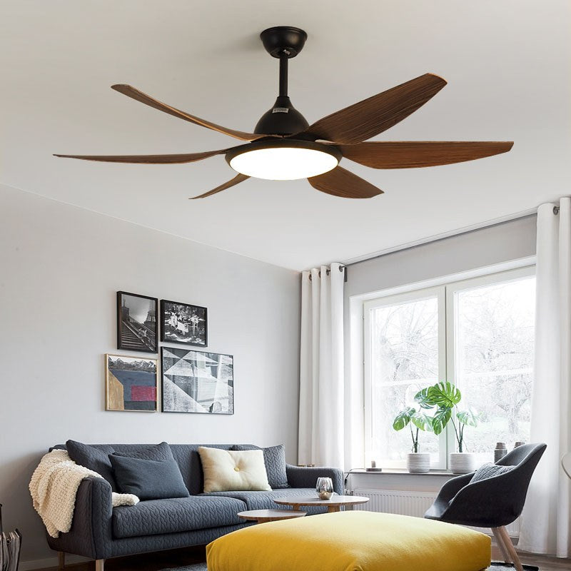 Eloer Reversible Large Ceiling Fan Light for Living Room