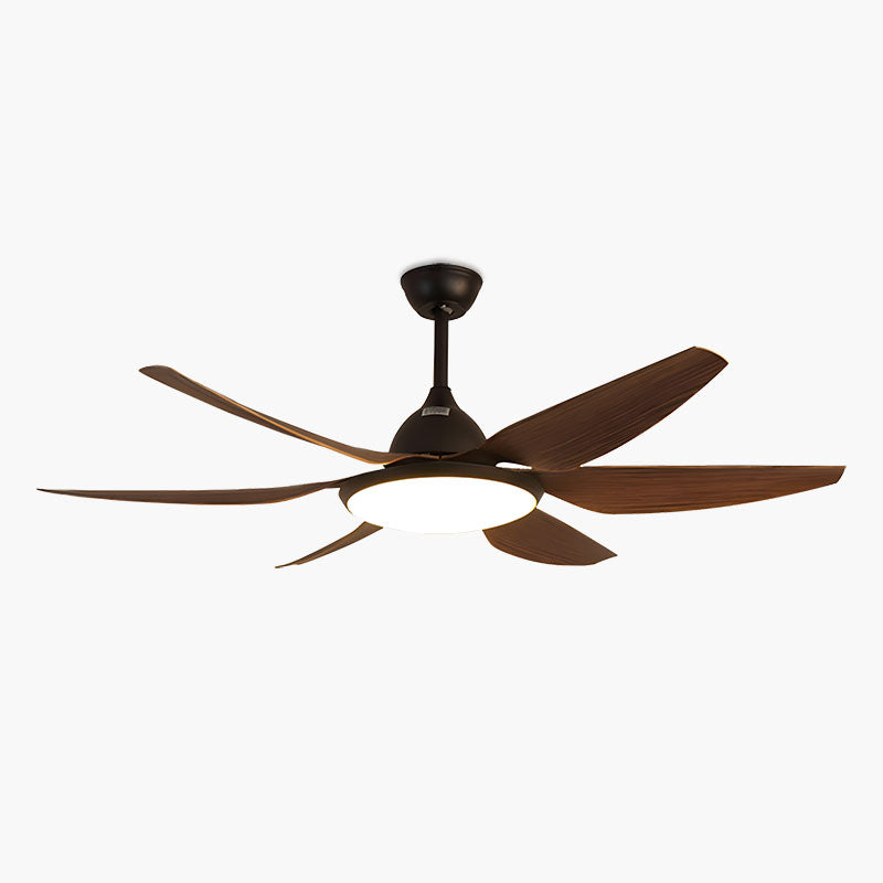 Eloer Reversible Large Ceiling Fan Light for Living Room