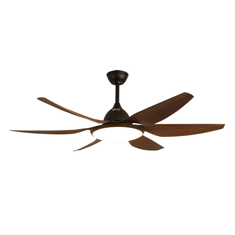Eloer Reversible Large Ceiling Fan Light for Living Room