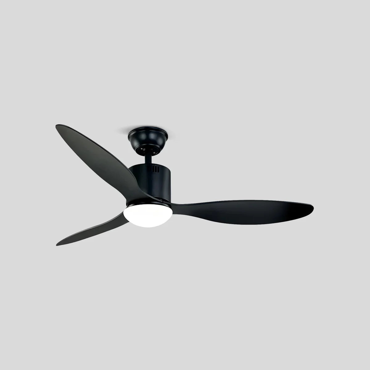 Eloer 3 Blade Modern Ceiling Fan with Light