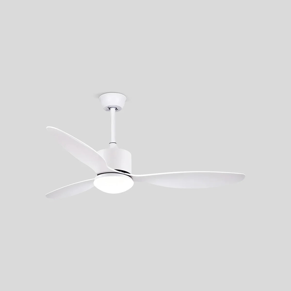 Eloer 3 Blade Modern Ceiling Fan with Light