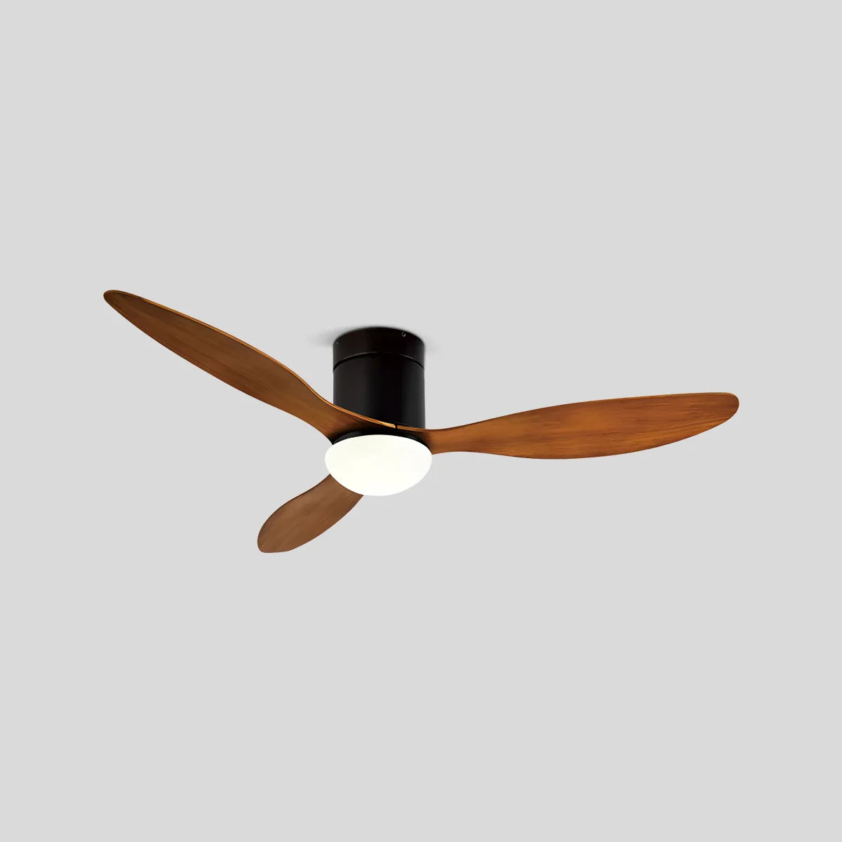 Eloer 3 Blade Modern Ceiling Fan with Light