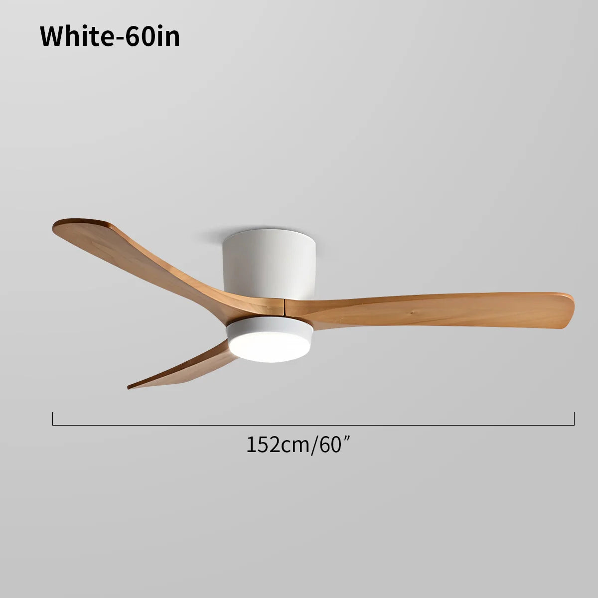 Eloer Large Low Profile Ceiling Fan with Light