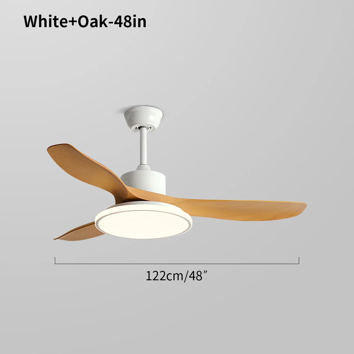 Eloer Modern 3 Blade Ceiling Fan with Light