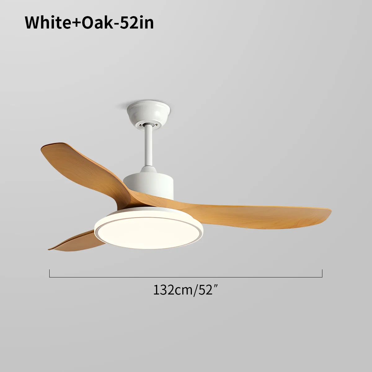 Eloer Modern 3 Blade Ceiling Fan with Light