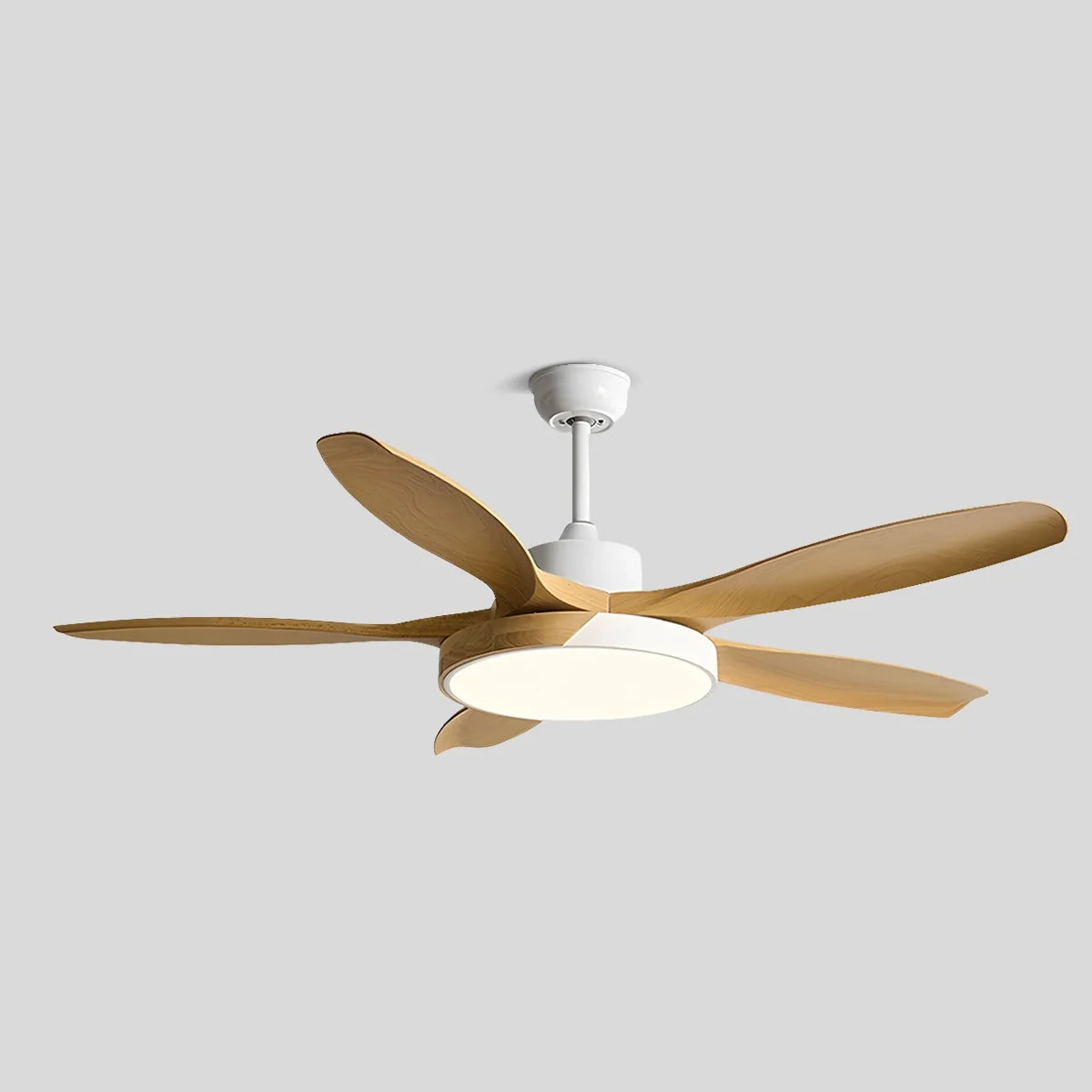 Eloer Nordic Living Room Ceiling Fan with Light